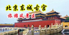 美女自慰喷水中国北京-东城古宫旅游风景区